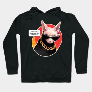 Sphinx cat Give us vodka,boy Hoodie